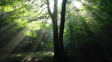 Highgate Wood Café set for fresh improvements as new operator announced